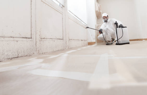 24/7 Emergency Commercial Mold Remediation experts in Burgess, VA