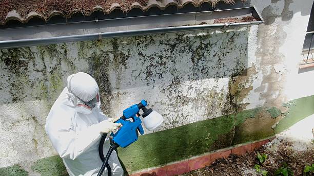 Top rated local Commercial Mold Remediation specialists in Burgess, VA
